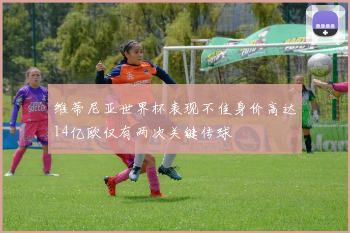 维蒂尼亚世界杯表现不佳身价高达14亿欧仅有两次关键传球