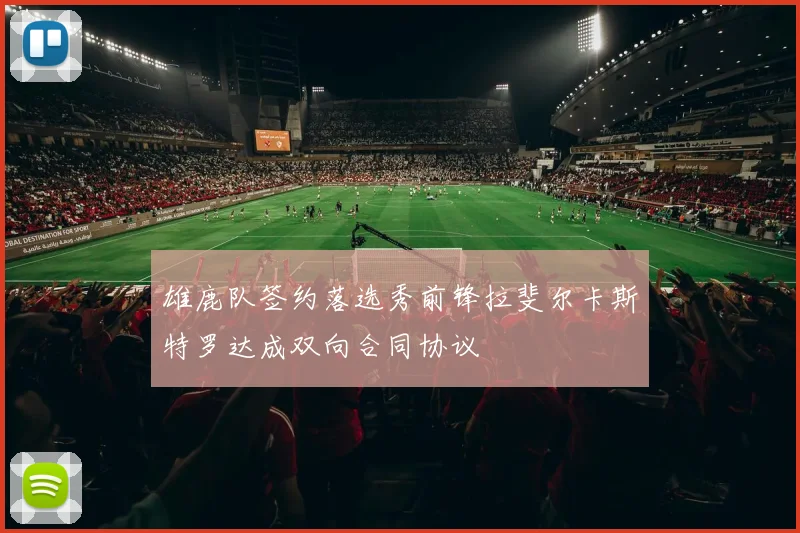 雄鹿队签约落选秀前锋拉斐尔卡斯特罗达成双向合同协议